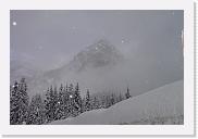 DSC02856 * 2272 x 1520 * (1.55MB)