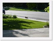 DSC00616 * 2272 x 1704 * (1.72MB)