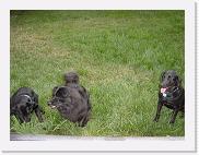 DSC00838 * 2272 x 1704 * (1.88MB)