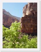 DSC00630 * 1704 x 2272 * (425KB)