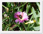 DSC00692 * 2272 x 1704 * (1.67MB)