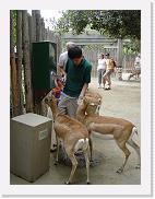 DSC00735 * 1704 x 2272 * (386KB)