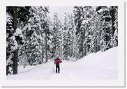 DSC01455 * 2048 x 1360 * (1.53MB)