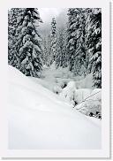 DSC01460 * 1360 x 2048 * (1.19MB)