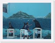 DSC01612 * 2048 x 1536 * (1.32MB)