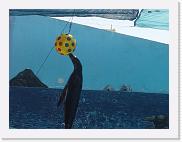 DSC01614 * 2048 x 1536 * (1.28MB)