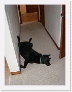 DSC01333 * 1200 x 1600 * (887KB)