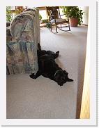 DSC01365 * 1704 x 2272 * (1.71MB)