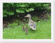 DSC01426 * 2272 x 1704 * (1.7MB)