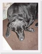 DSC01427 * 1704 x 2272 * (1.6MB)