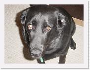 DSC01432 * 2272 x 1704 * (1.72MB)