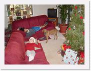 DSC02572 * 2272 x 1704 * (1.87MB)