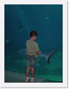 DSC02595 * 1704 x 2272 * (1.62MB)