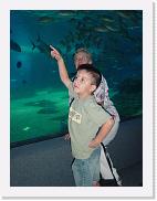 DSC02596 * 1704 x 2272 * (1.54MB)