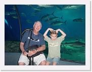 DSC02603 * 2272 x 1704 * (1.82MB)