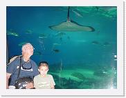 DSC02604 * 2272 x 1704 * (1.71MB)