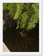 DSC02431 * 1704 x 2272 * (1.56MB)