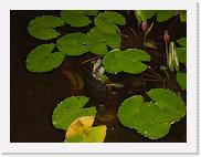 DSC02434 * 2272 x 1704 * (1.43MB)