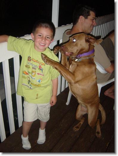 You have reached the last slide