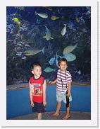 DSC02183 * 1704 x 2272 * (1.54MB)