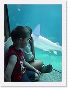 DSC02185 * 1704 x 2272 * (1.54MB)