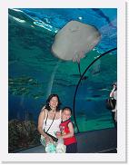 DSC02192 * 1704 x 2272 * (1.46MB)