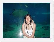 DSC02193 * 2272 x 1704 * (1.65MB)