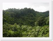 DSC02194 * 2272 x 1704 * (1.88MB)