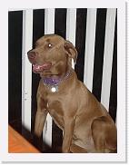 DSC02221 * 1704 x 2272 * (1.5MB)