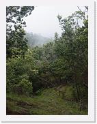 DSC02161 * 1704 x 2272 * (1.57MB)