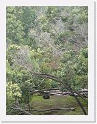 DSC02162 * 1704 x 2272 * (1.49MB)