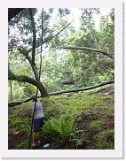 DSC02163 * 1704 x 2272 * (1.58MB)