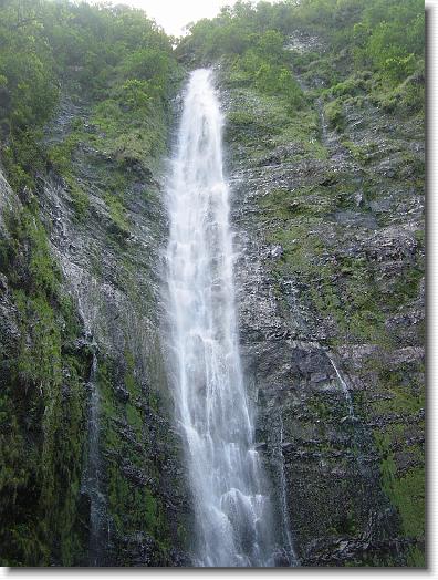 You have reached the last slide