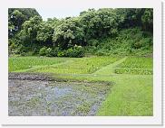 DSC02825 * 2272 x 1704 * (1.82MB)