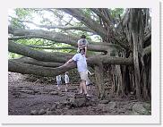 DSC02826 * 2272 x 1704 * (1.79MB)