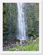 DSC02827 * 1704 x 2272 * (1.62MB)