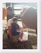 DSC03212 * 1704 x 2272 * (1.5MB)