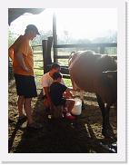 DSC03213 * 1704 x 2272 * (1.46MB)