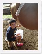 DSC03215 * 1704 x 2272 * (1.52MB)